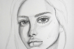 dyl2-3